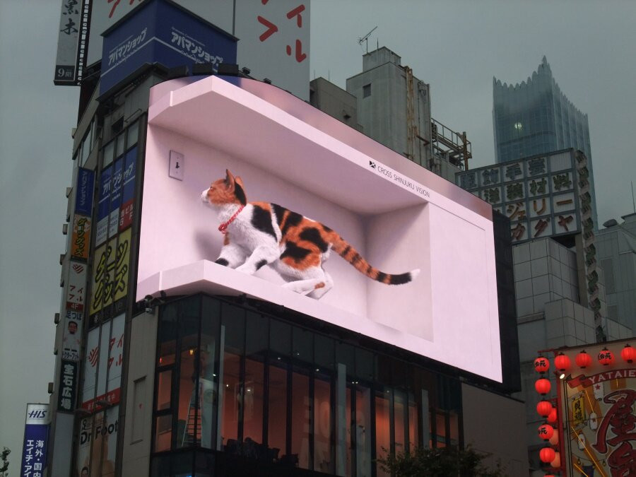 Giant 3d Cat Display Billboard景点图片