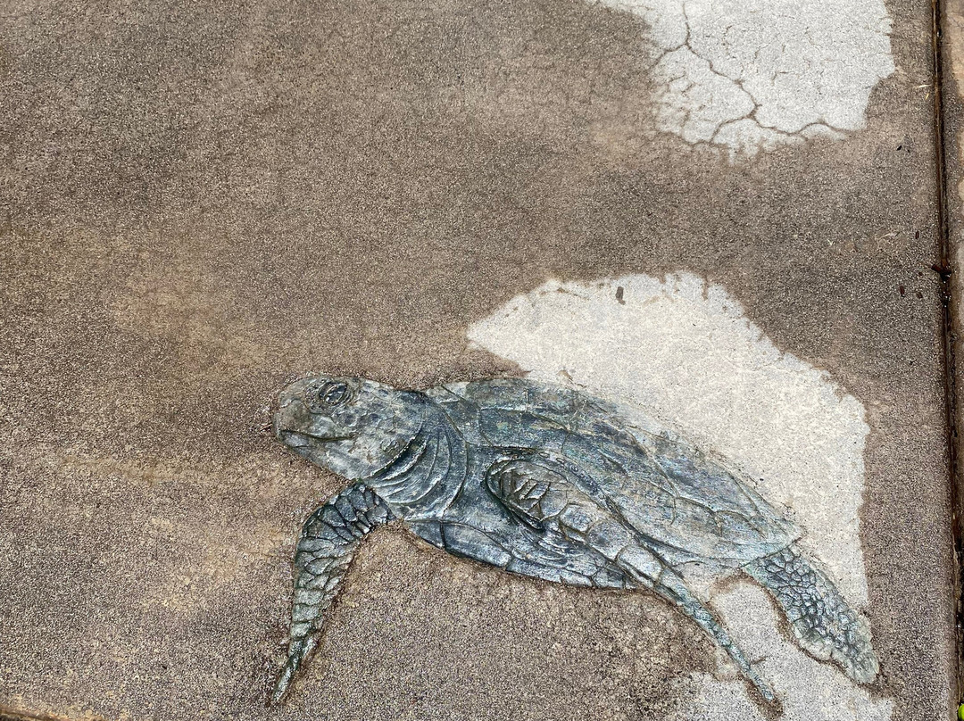 Anaina Hou Community Park-基拉韦厄必去景点