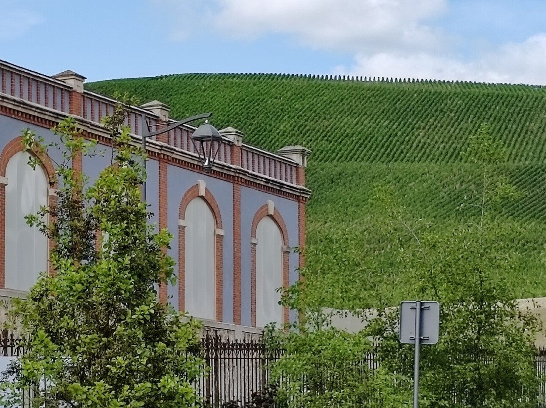 Pressoria景点图片