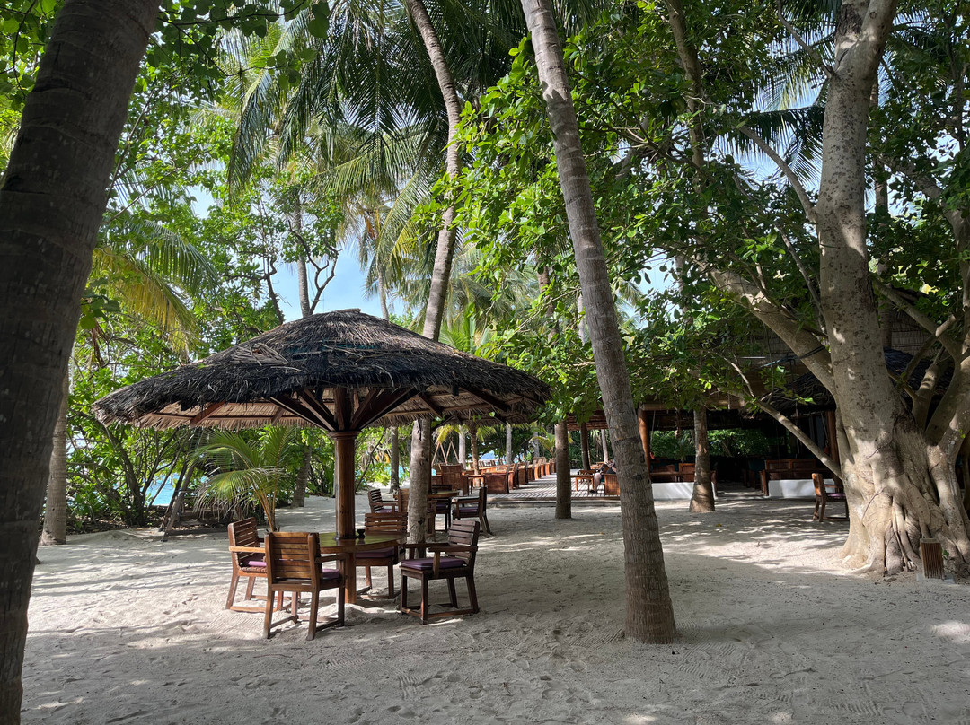 S&Y Tours and Travel-马累必去景点