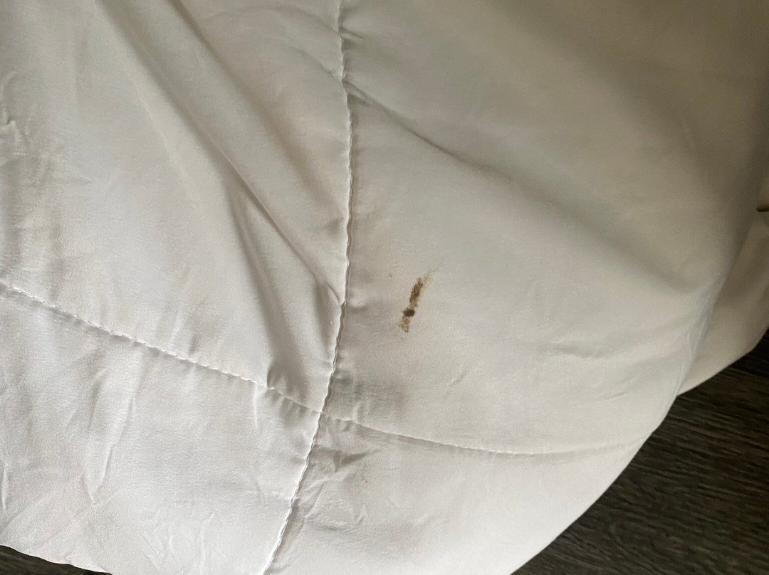 路易斯顿美国旅馆主图