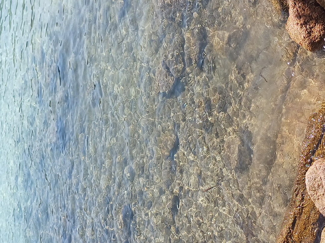 Spiaggia Le Piscine-Cannigione必去景点