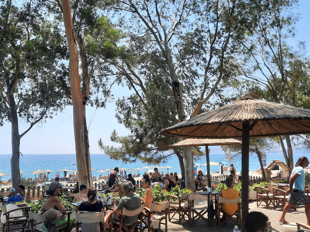 Ocean Pub-Gytheio必去景点