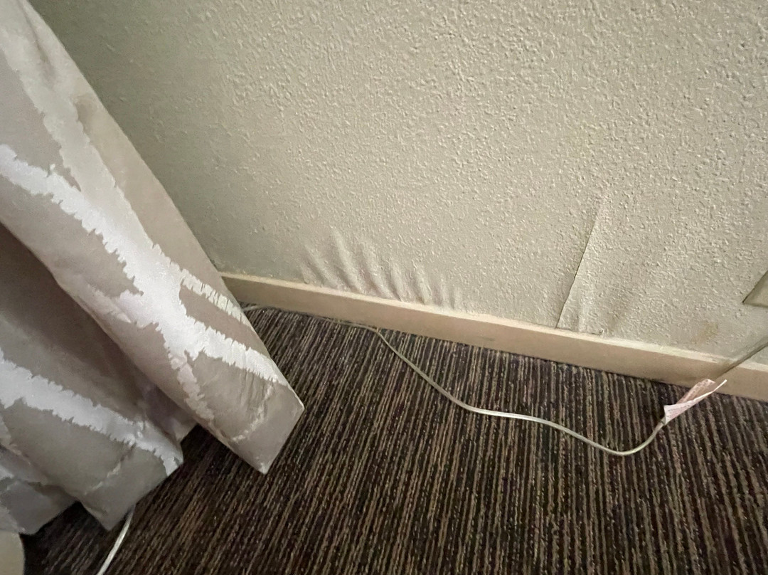 Hampton Inn & Suites Concord/Charlotte主图