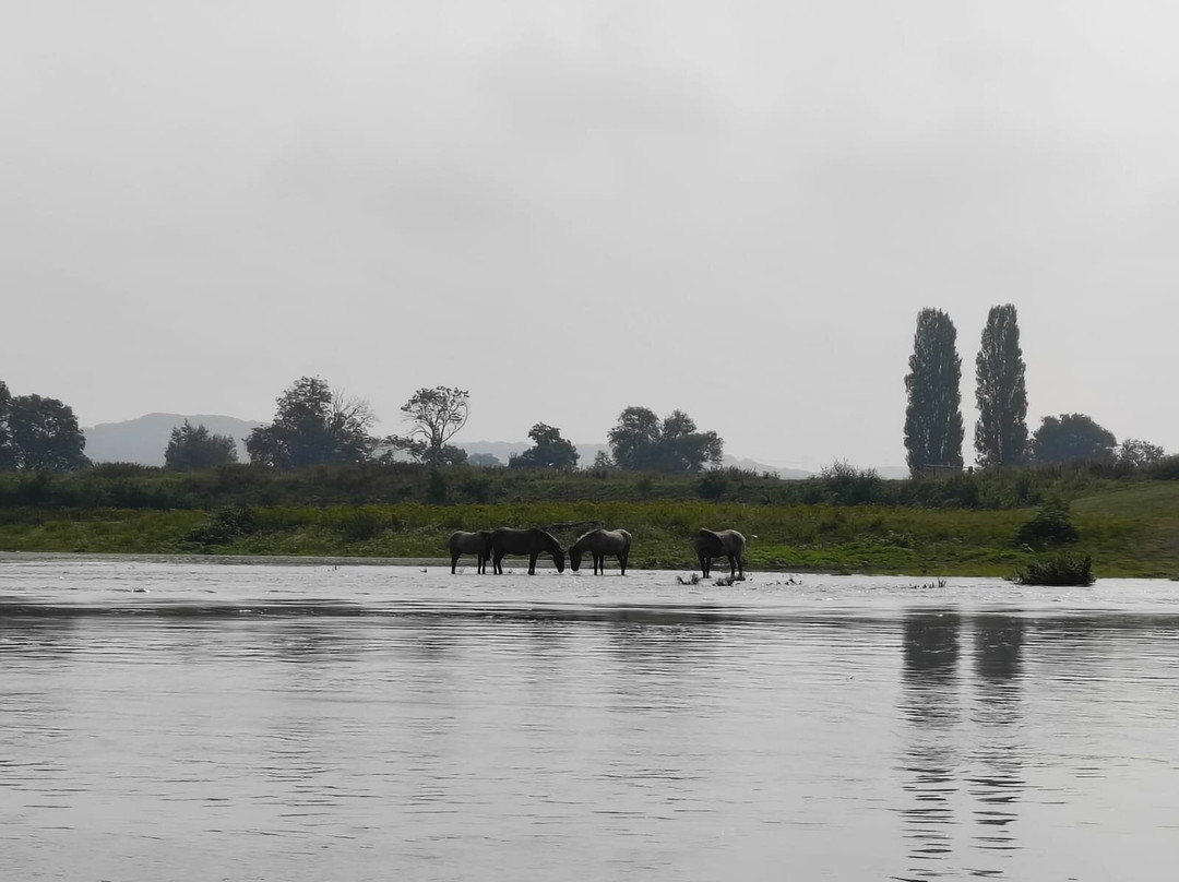 Kajak Maasland & Rafting-马斯梅赫伦必去景点