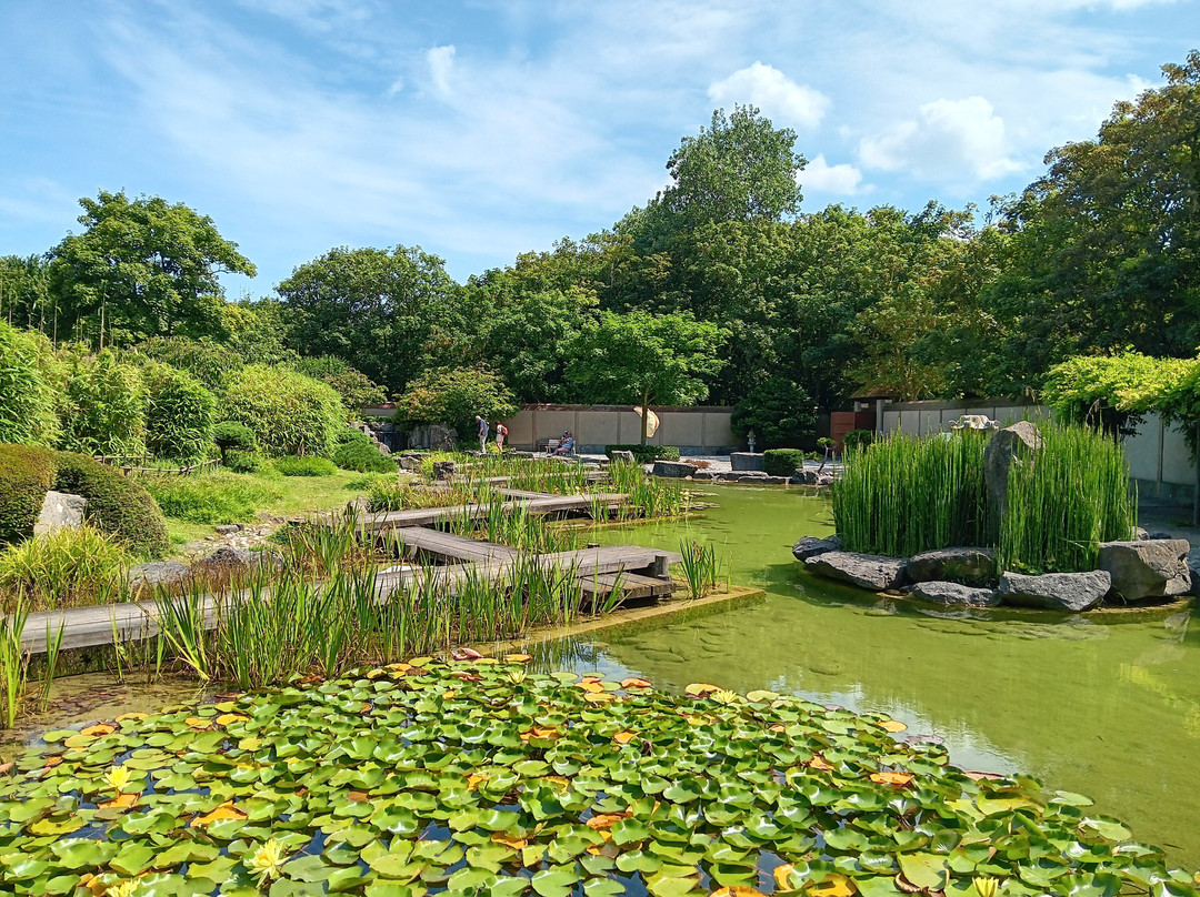 Jardin Japonais-奥斯坦德必去景点