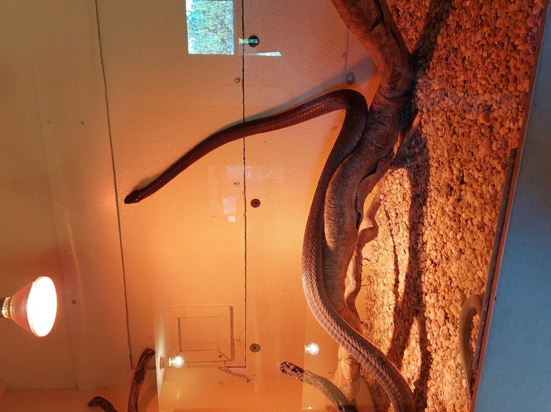 Snake Park-斯瓦科普蒙德必去景点