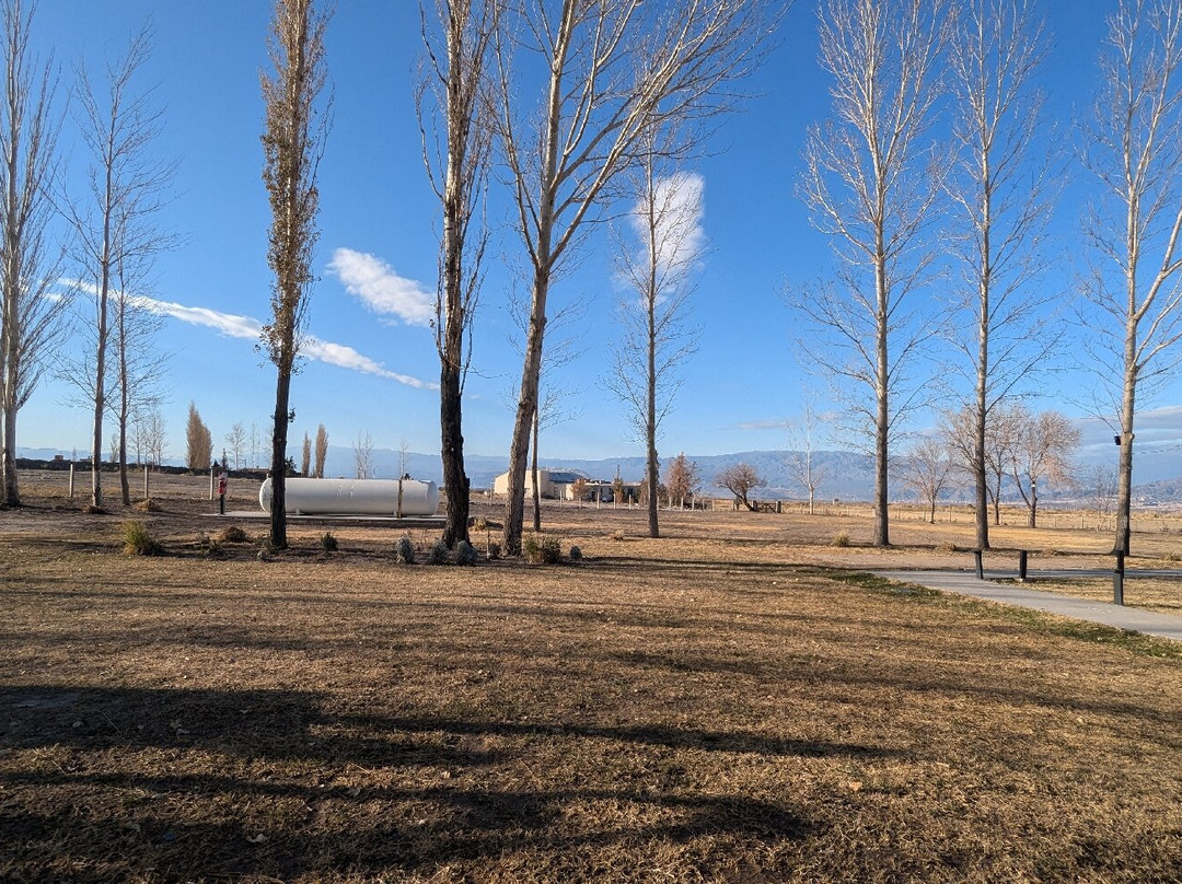 Hotel Termas Pismanta & Spa主图