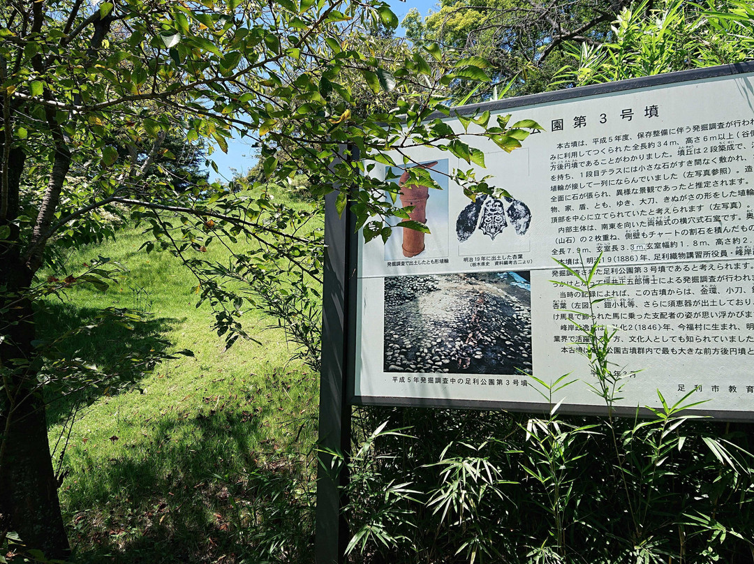 Ashikaga Park-足利市必去景点