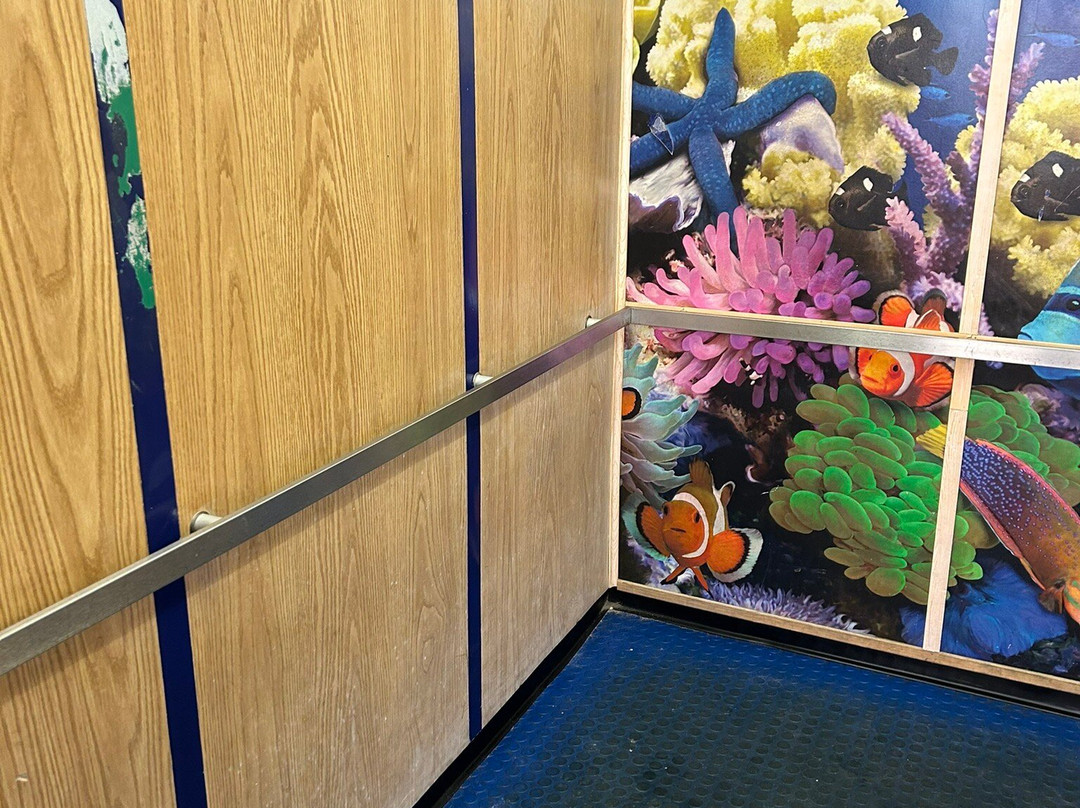 Atlantic Plaza主图