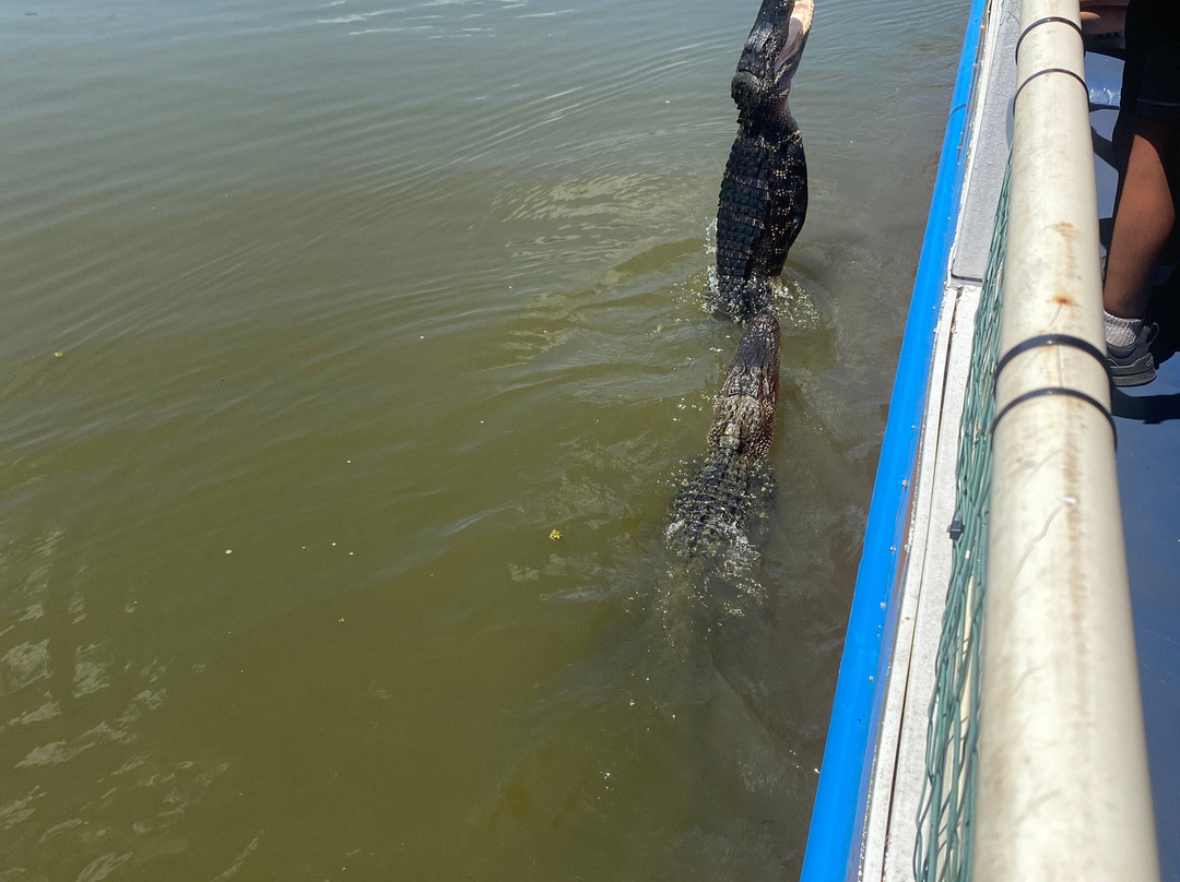 Cajun Man's Swamp Tours & Adventures-Gibson必去景点