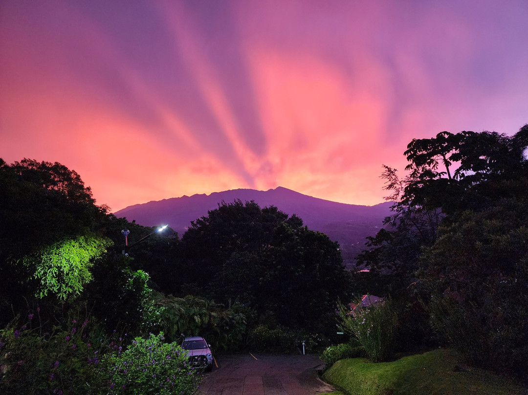 Coffee Estate Inn主图