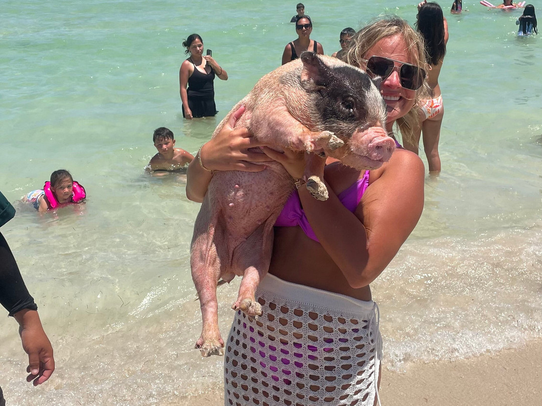 Sergio's Tours-Progreso必去景点