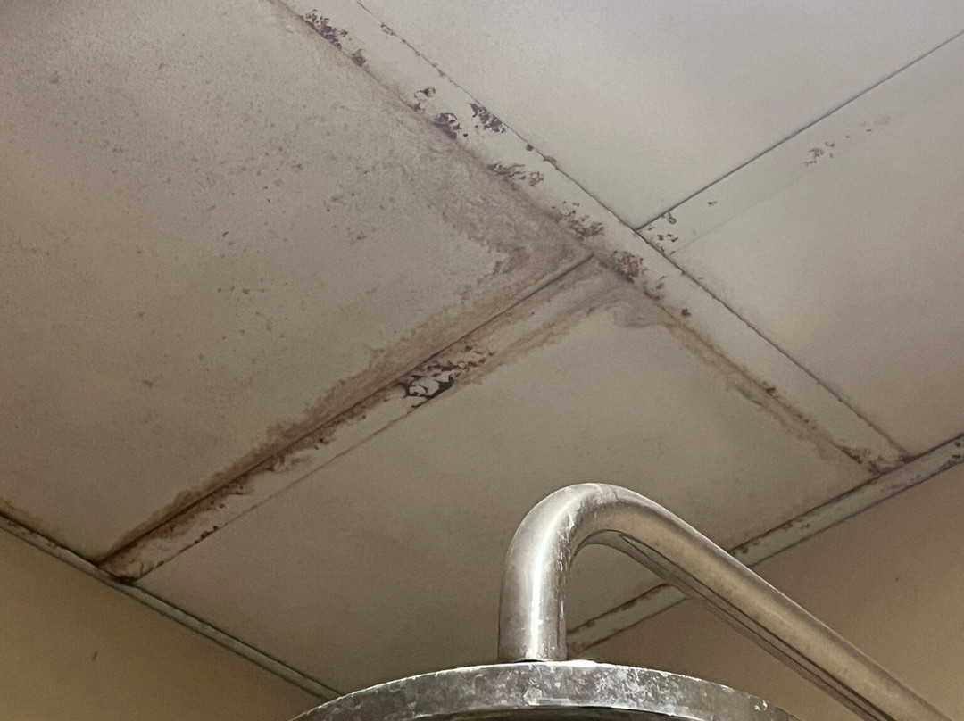 Royal Family Hotel主图