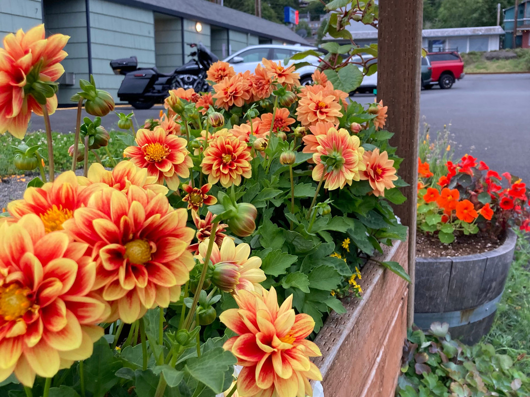 Wheeler on the Bay Lodge主图