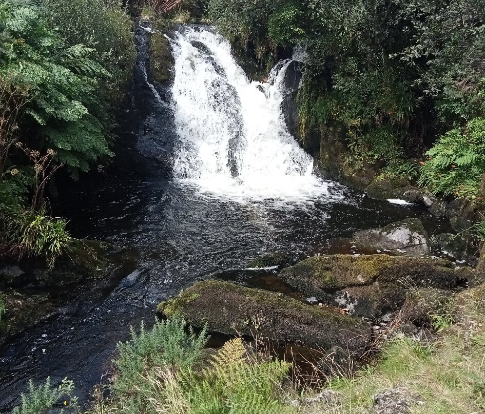 Waterfall Alpaca Farm景点图片