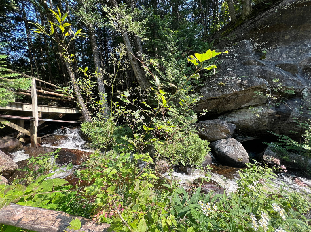 Natural Stone Bridge and Caves景点图片