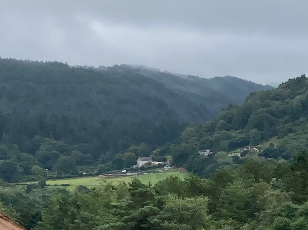 Tamar Trails景点图片