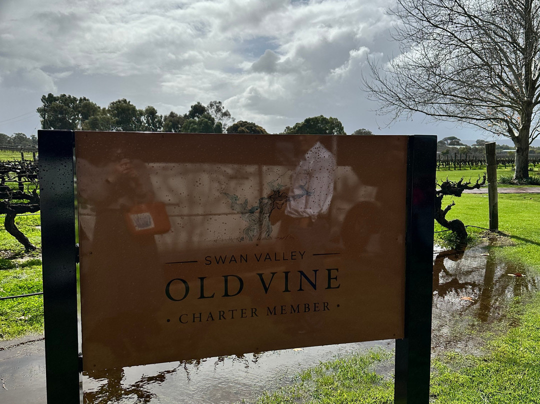 Out & About Wine Tours景点图片