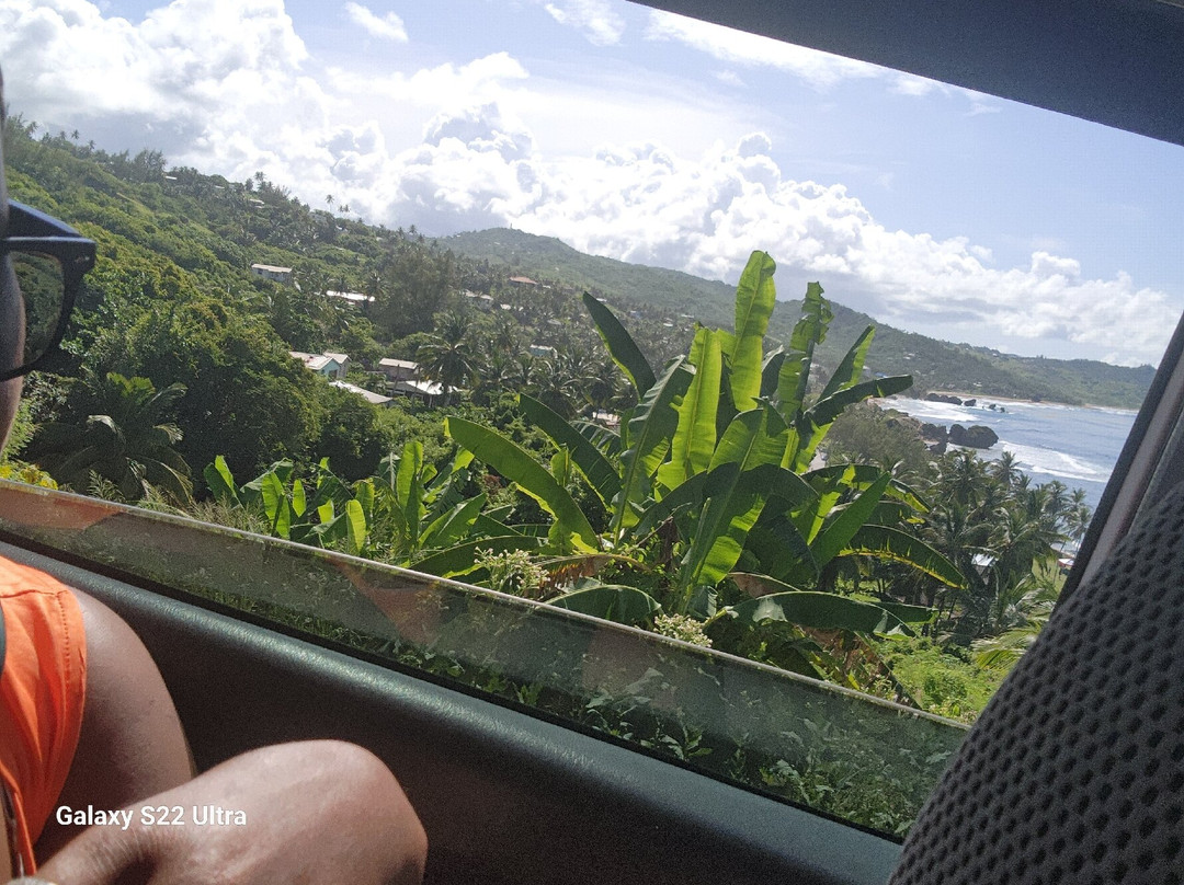 SUP Barbados-Paynes Bay必去景点