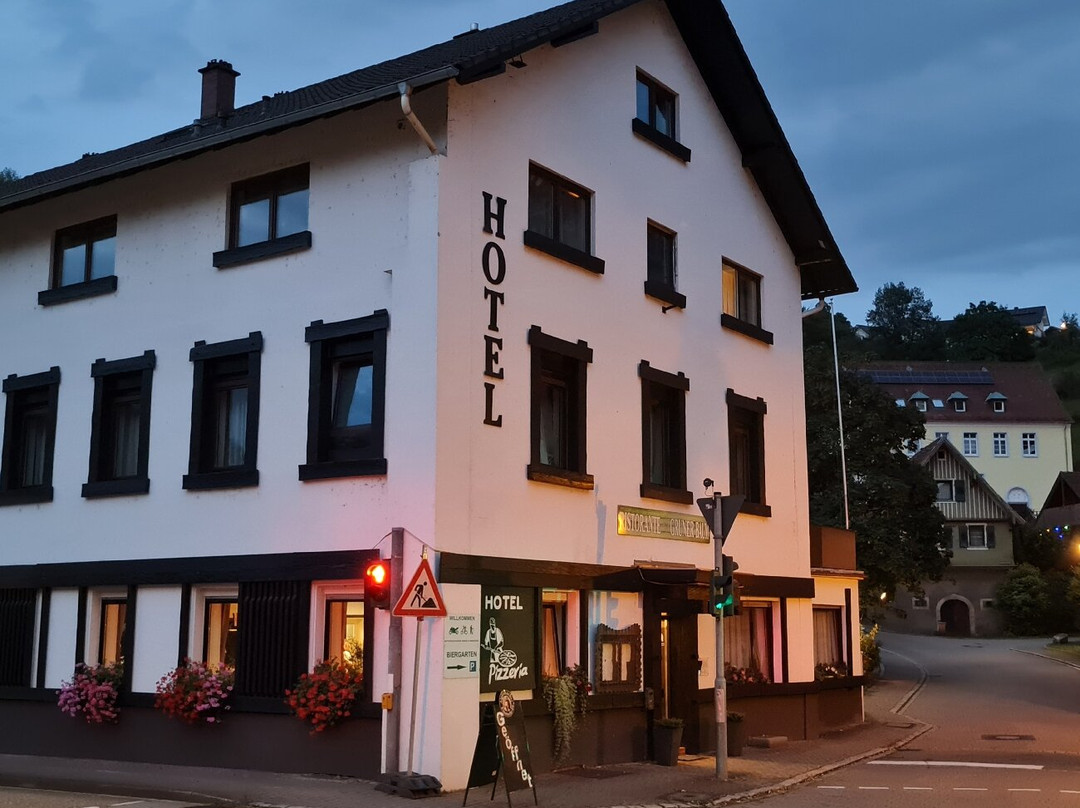 Hotel Grüner Baum - Melissone Italian Restaurant主图