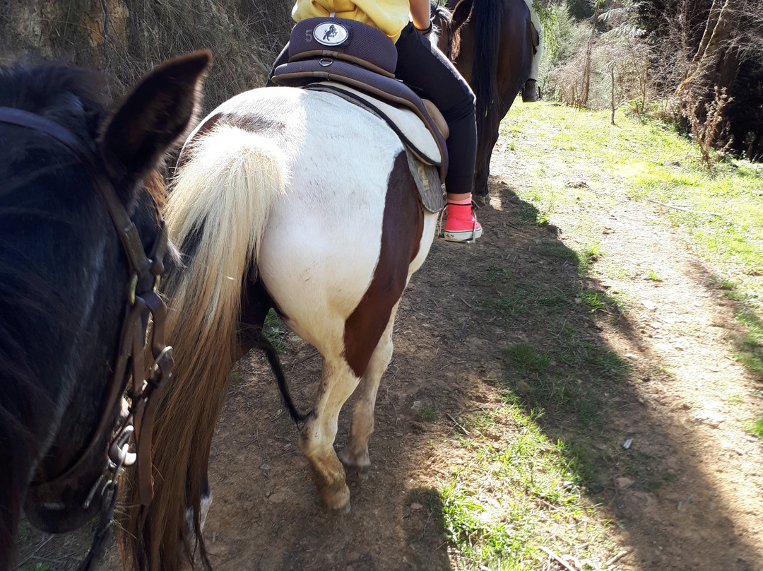 Karamu Trail Track-汉密尔顿必去景点