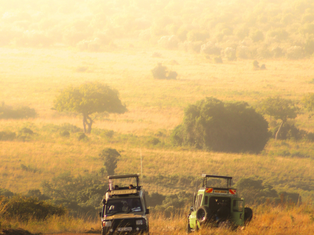 Cozmo Travel L.L.C.-沙迦必去景点