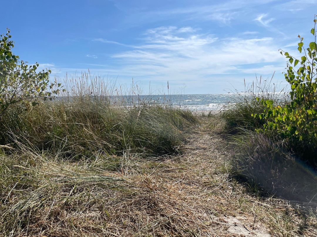 Sandhammarens Strand-Loderup必去景点