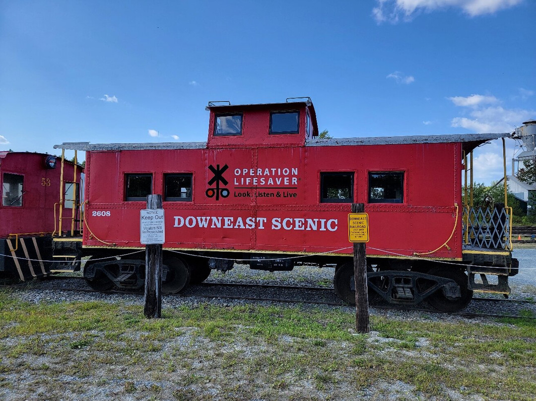 Orono Bog Boardwalk景点图片