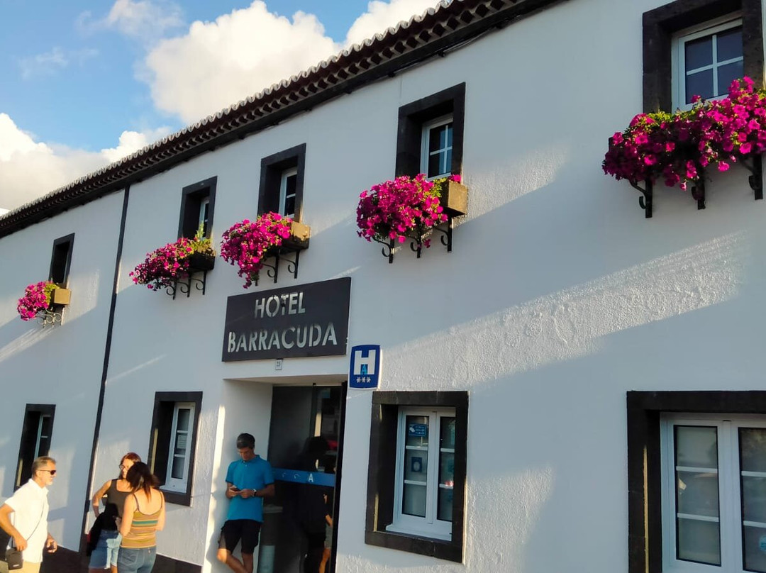 Aparthotel Barracuda主图