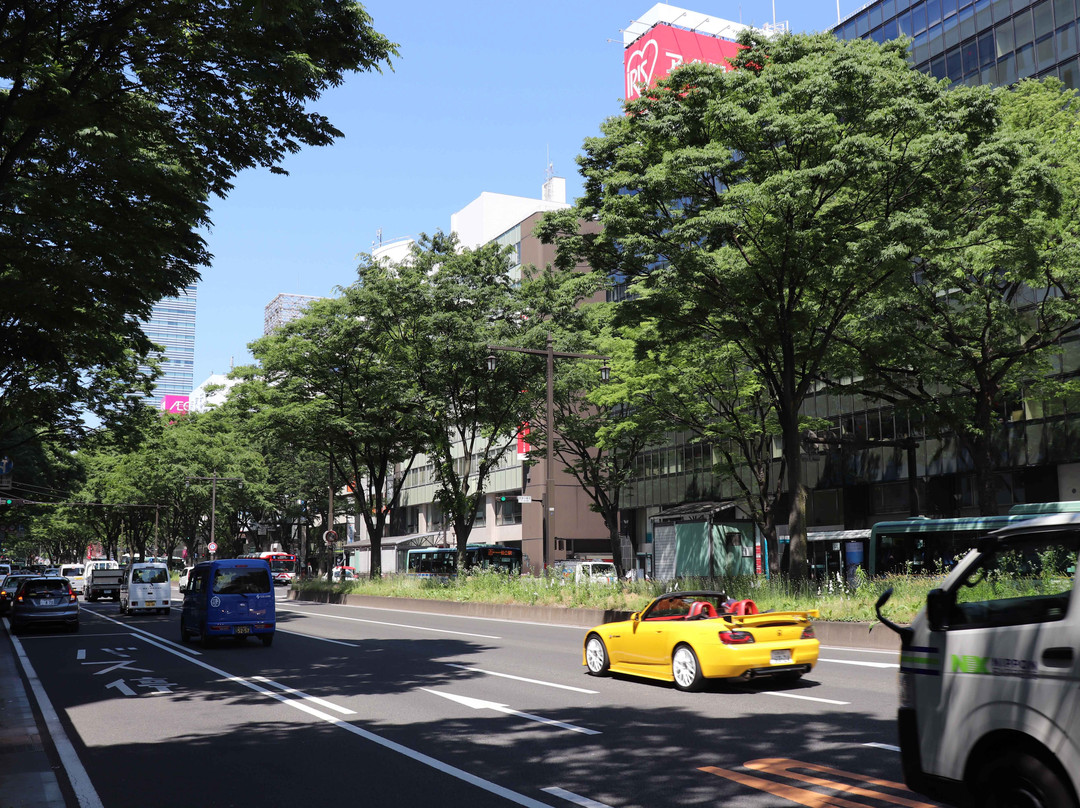 Aoba-dori Avenue-仙台市必去景点