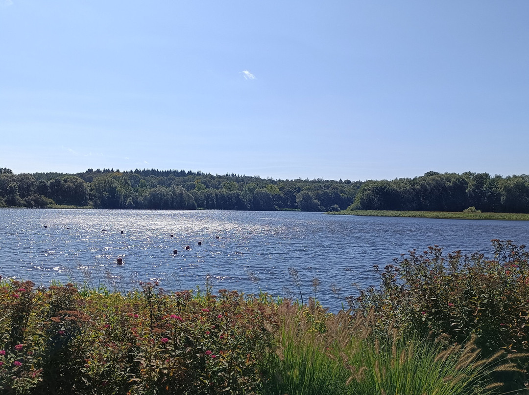 Lac de Bambois景点图片