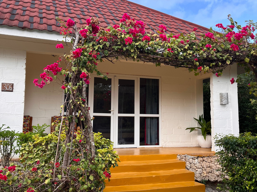 Pearl Beach By Sansi主图