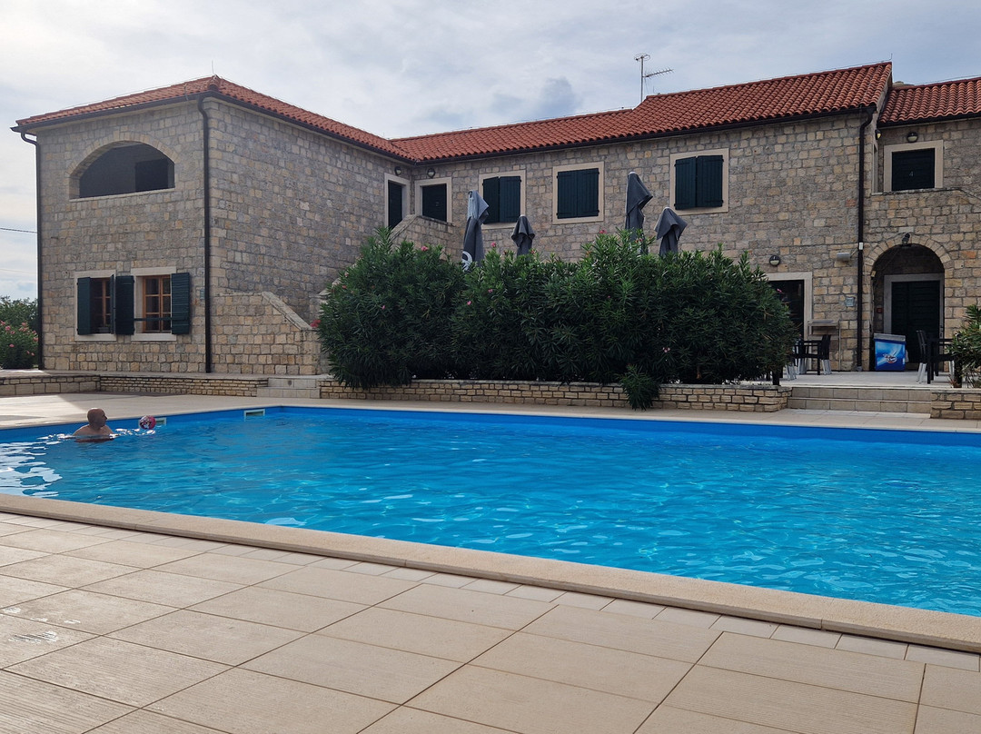 Pansion Skelin主图