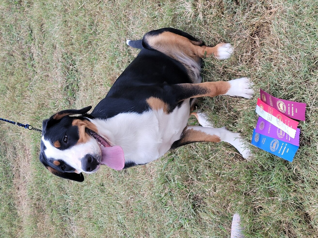 Hampton Inn Cleveland主图