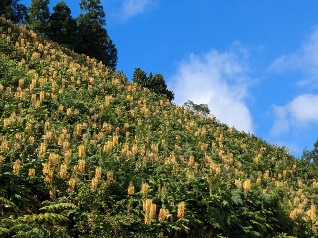 Miradouro Pico Do Ferro-富尔纳斯必去景点