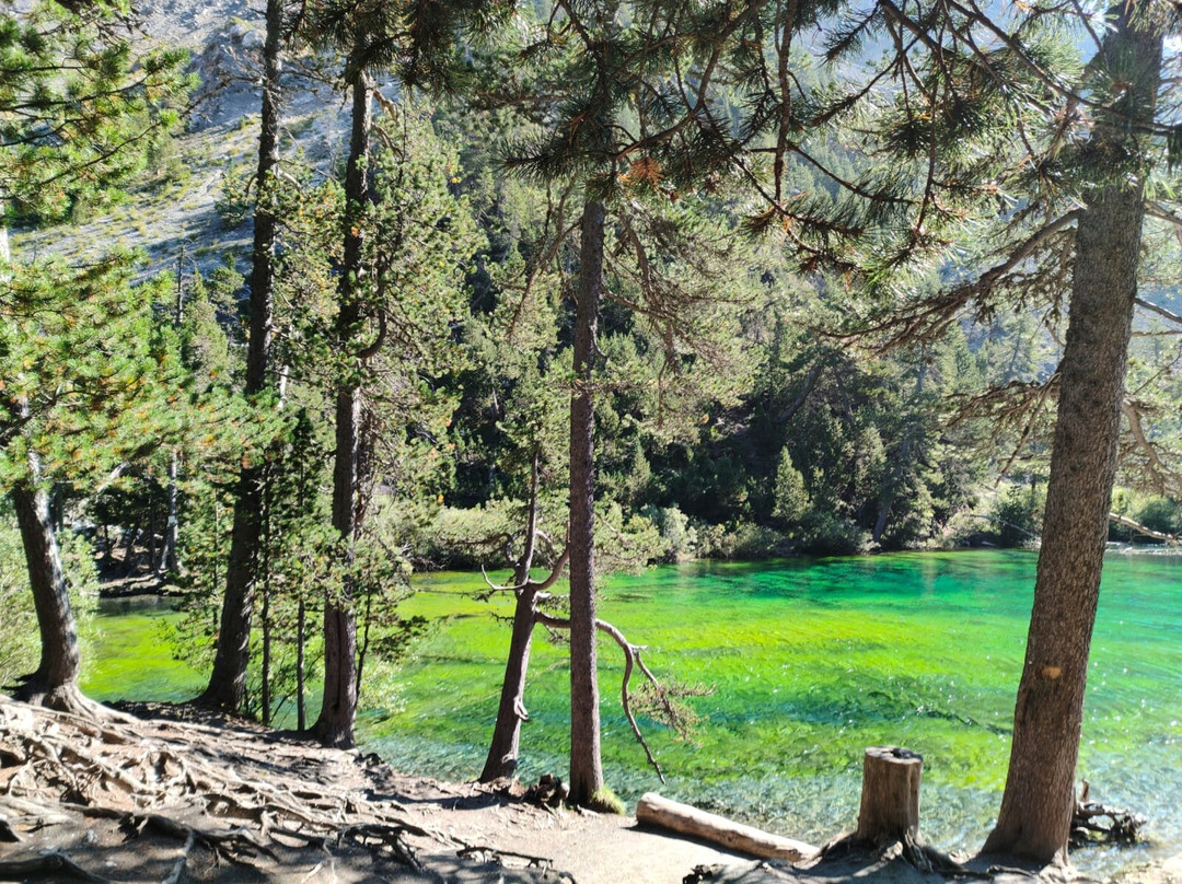 Residence Villa Frejus主图