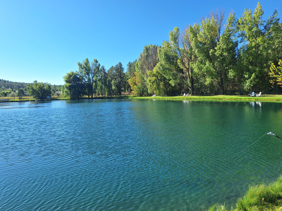 Pinetop Cottages at Fred's Lake