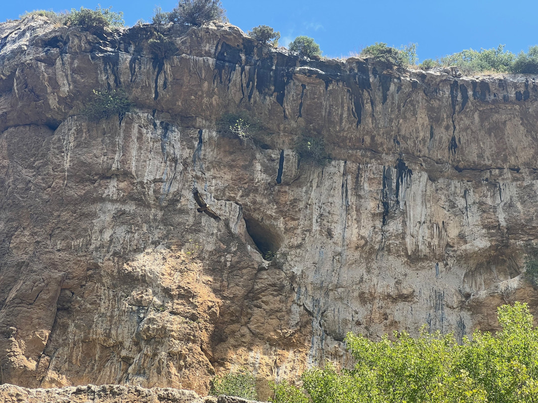 Foz de Lumbier-Lumbier必去景点