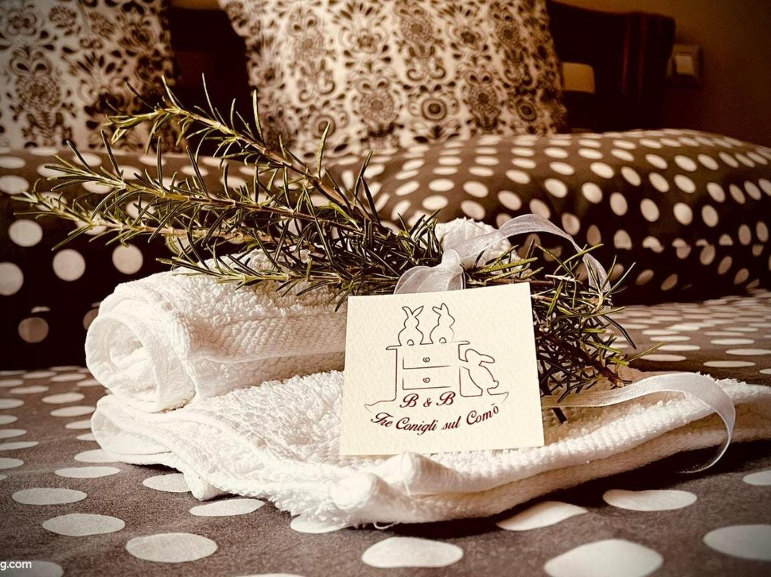 B&B Tre Conigli sul Comò主图