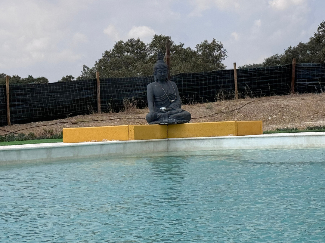 Monte dos Vicentes主图