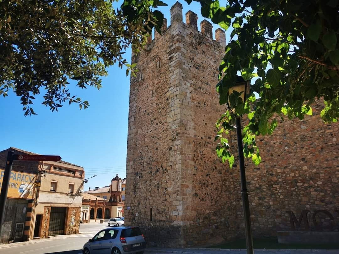 Muralla de Montblanch景点图片