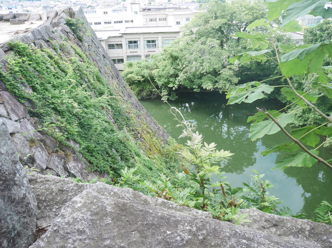 Ueno Park景点图片