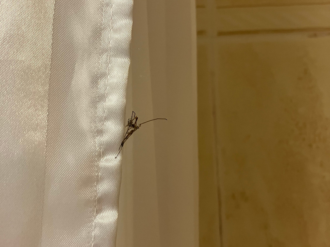 钱普尼斯森林小湖酒店主图