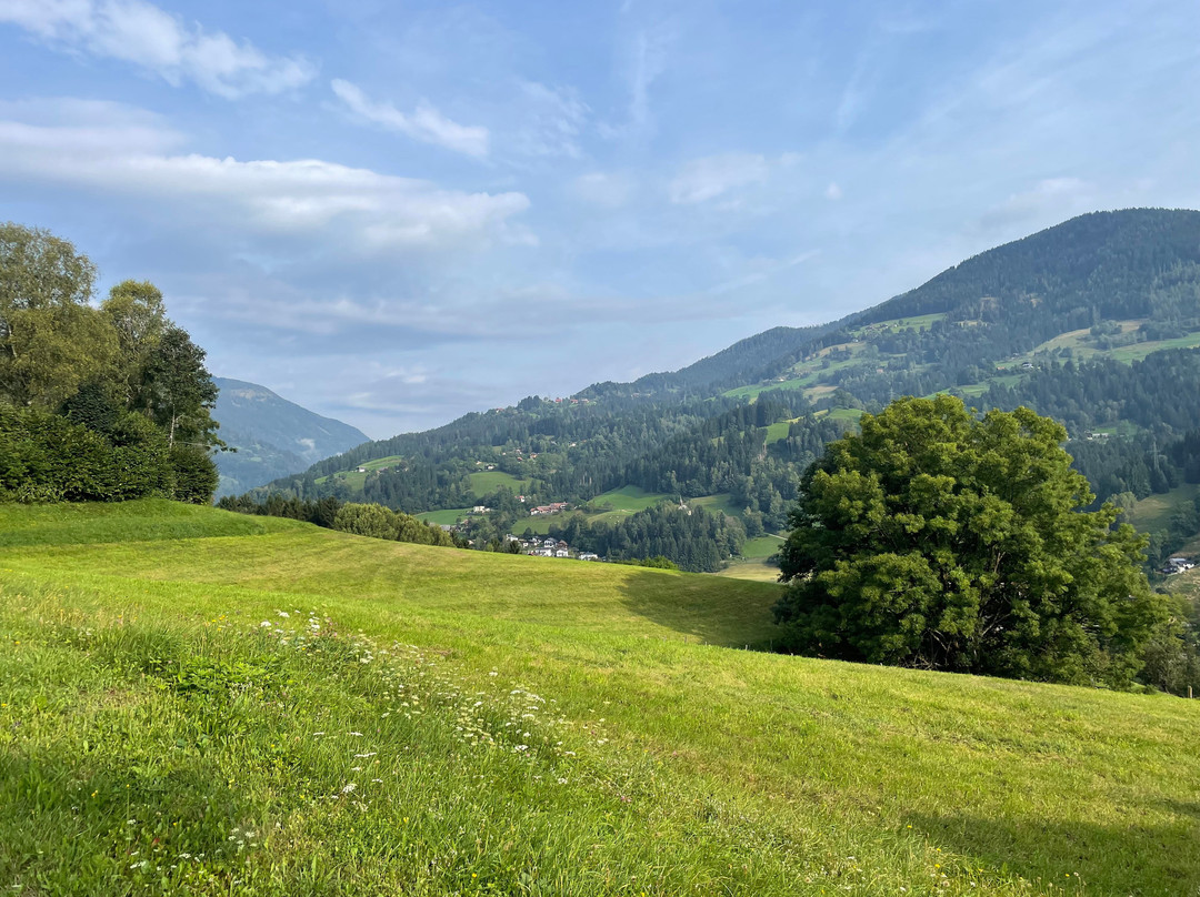 Afritz酒店住宿-Pension Almhof