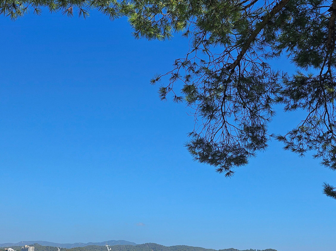 Carrer Cala Fornells景点图片