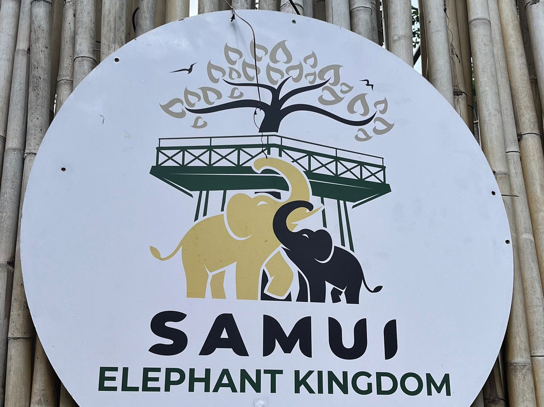 Samui Elephant Kingdom-利巴诺伊必去景点