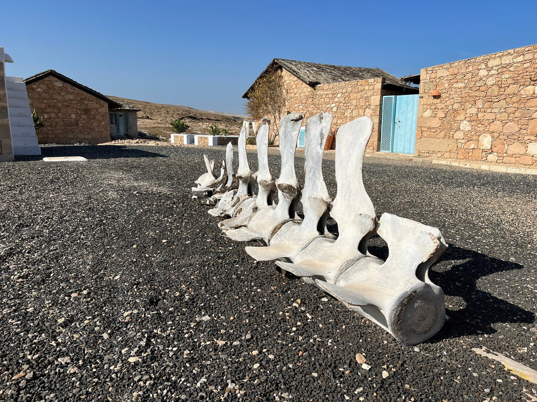 Spinguera Ecolodge主图