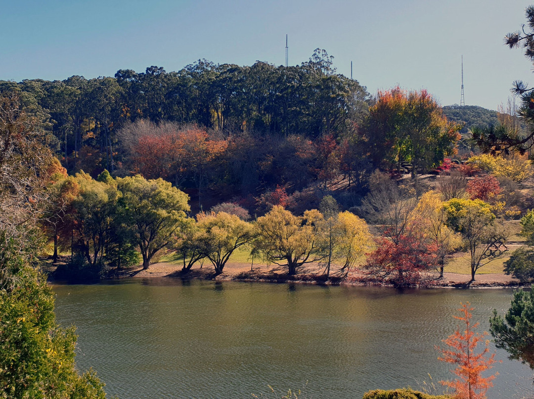 Mount Lofty Botanic Garden景点图片