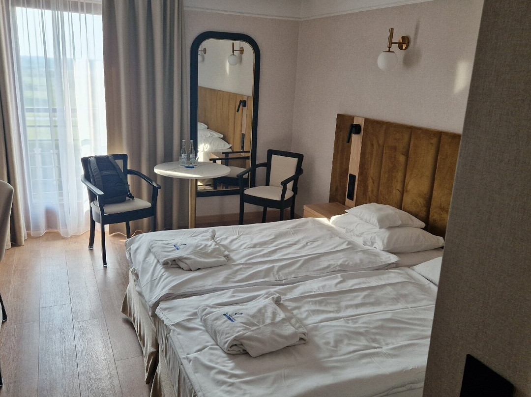 Malinowy Zdroj Hotel Medical SPA主图